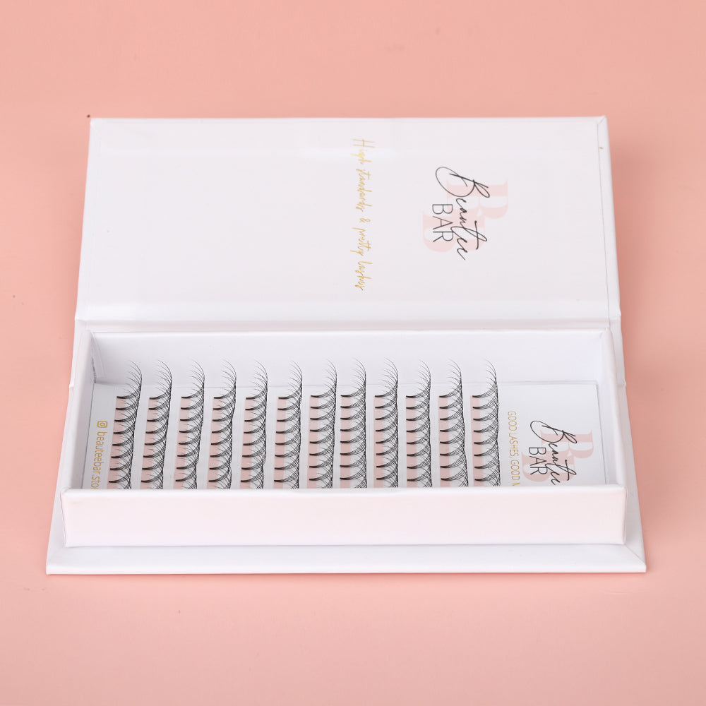 4D Premade Fans D Curl Lashes in Black