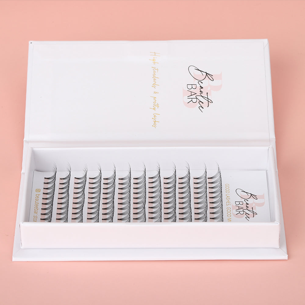 10D Premade Fans D Curl Lash Tray