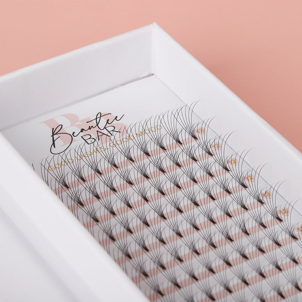 6D Premade Fans D Curl Lash Tray